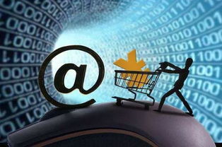 互联网保险的下半场 数据服务驱动的新增长路径