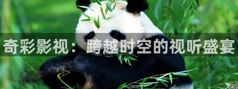 木瓜电影院电视剧免费播放：奇彩影视：跨越时空的视听盛宴