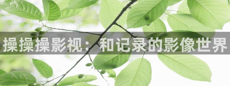 木瓜视频推荐