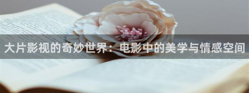 野木瓜片和木瓜片区别