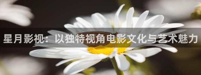 木瓜在线影院
