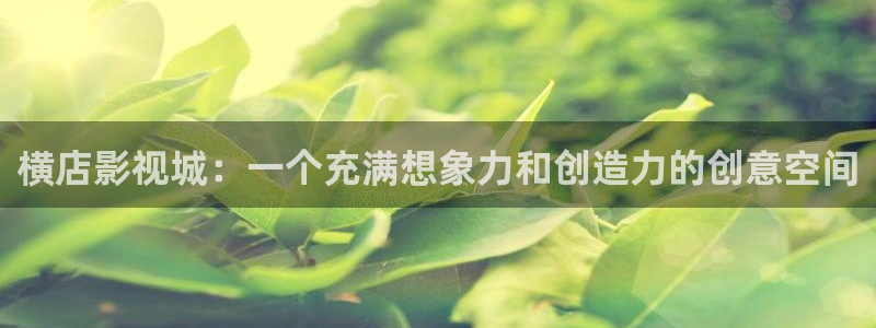 木瓜影视.：横店影视城：一个充满想象力和创造力的创意空间