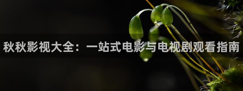 木瓜成年影视