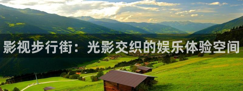木瓜视频vip号
