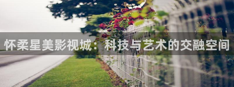 木瓜片多少钱一盒